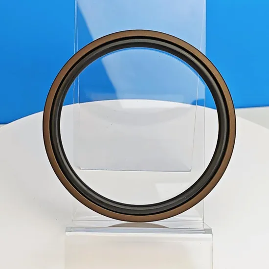 Premium PTFE Rectangular Compound Seal for Hydraulic Cylinder Pistons - Direct Manufacturer High-End Quality